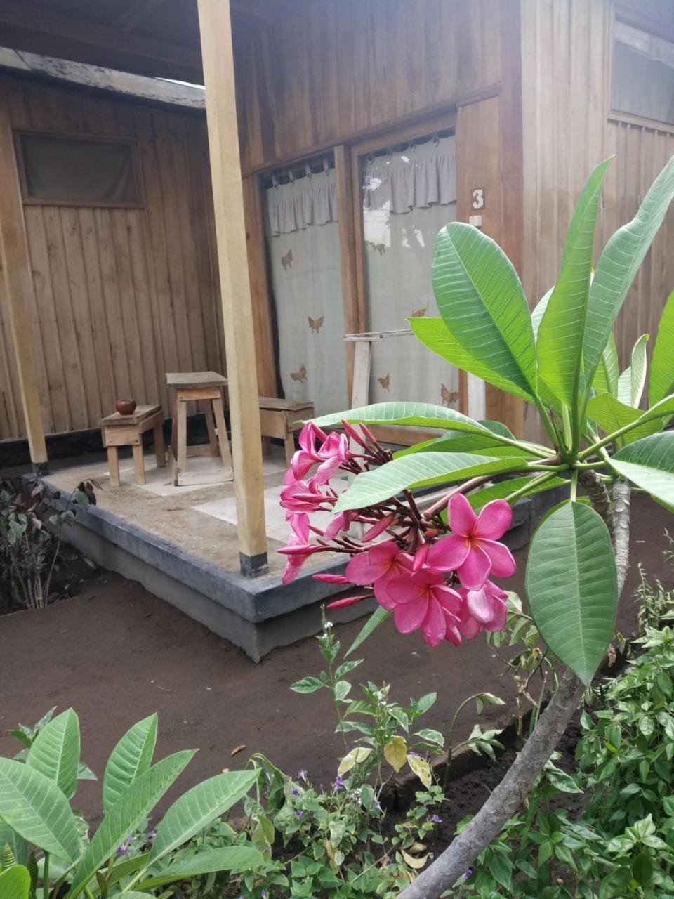 Beach Box Bungalow 길리트라왕안 외부 사진