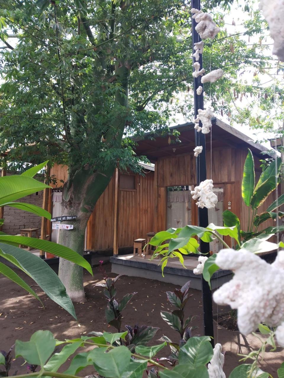 Beach Box Bungalow 길리트라왕안 외부 사진